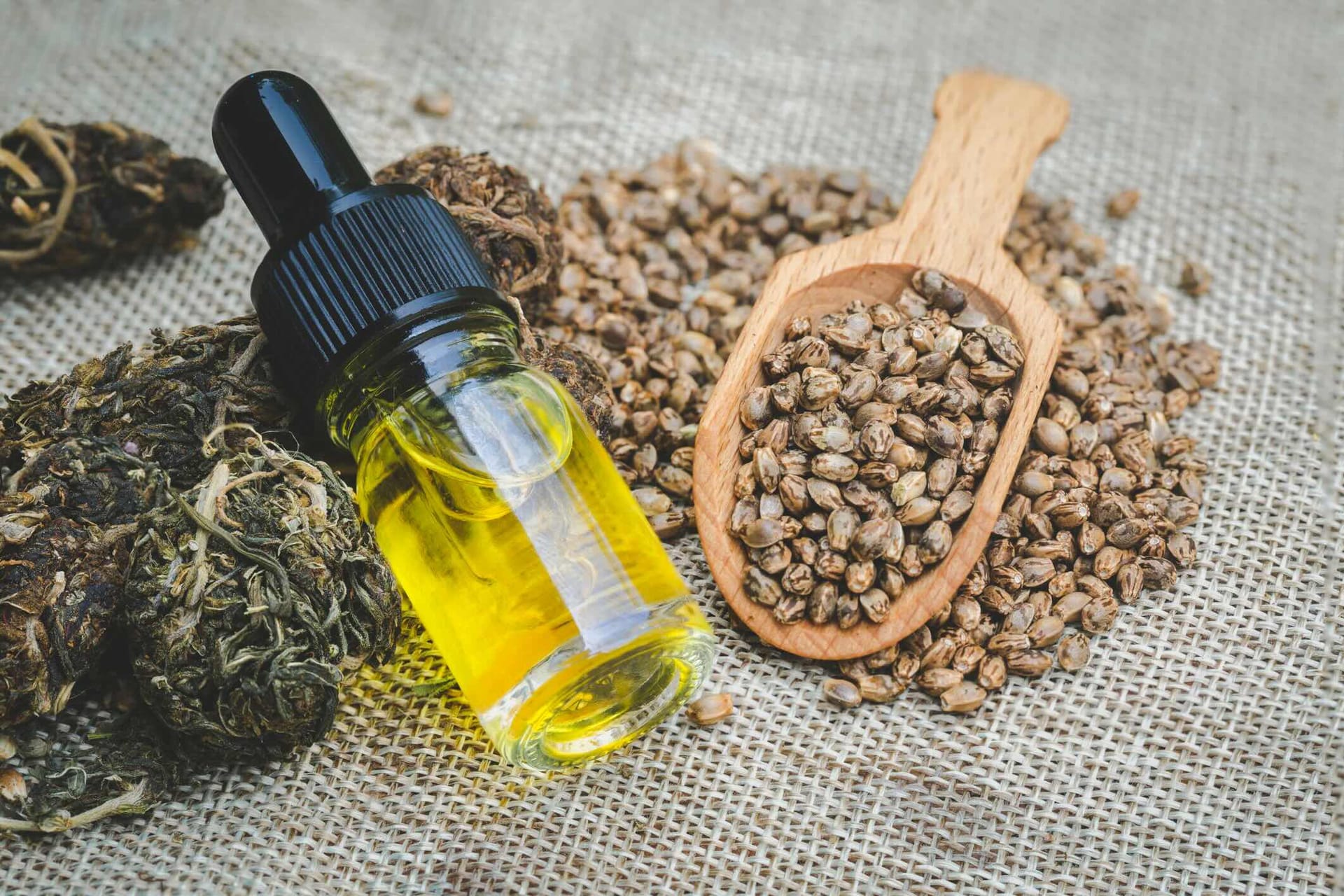 Cannabis Öl pressen wie ein Profi: Die Techniken von Cbdladen für reine Extrakte